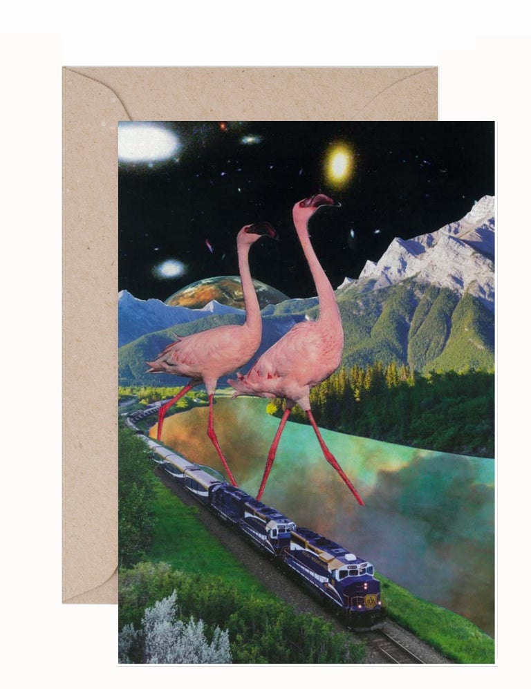 Bodie Howell: Flamingo Greeting Card & Envelope