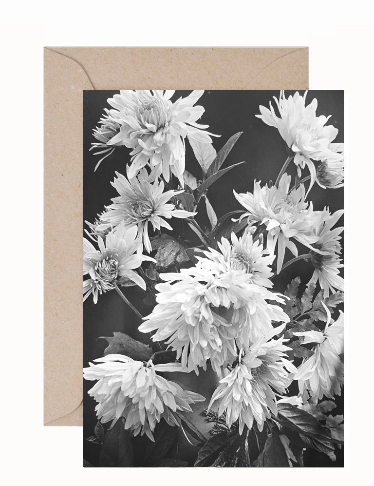 Stewart Russell: Chrysanthemum Greeting Card & Envelope