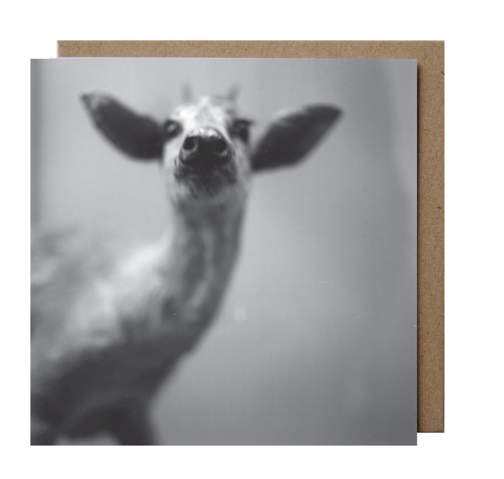 Zoe Ali: Deer Greeting Card & Envelope
