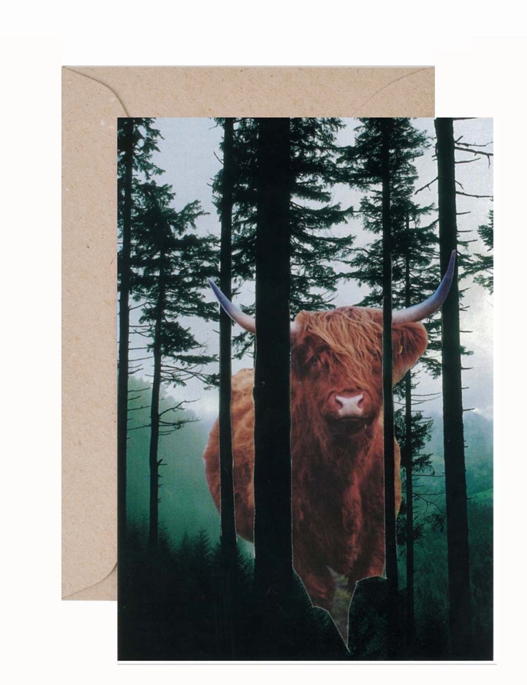 Bodie Howell: Bull in the Woods Greeting Card & Envelope