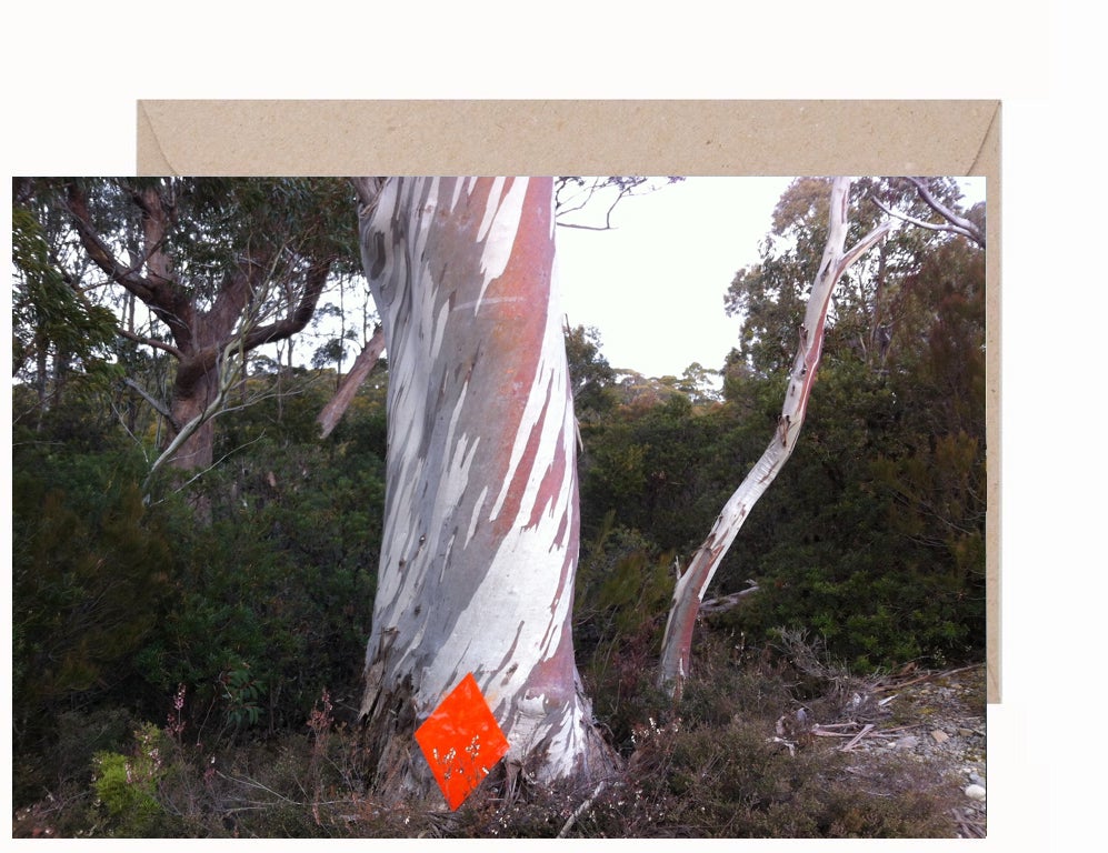 Kerrie Poliness: Leeawulena Tasmania Greeting Card & Envelope