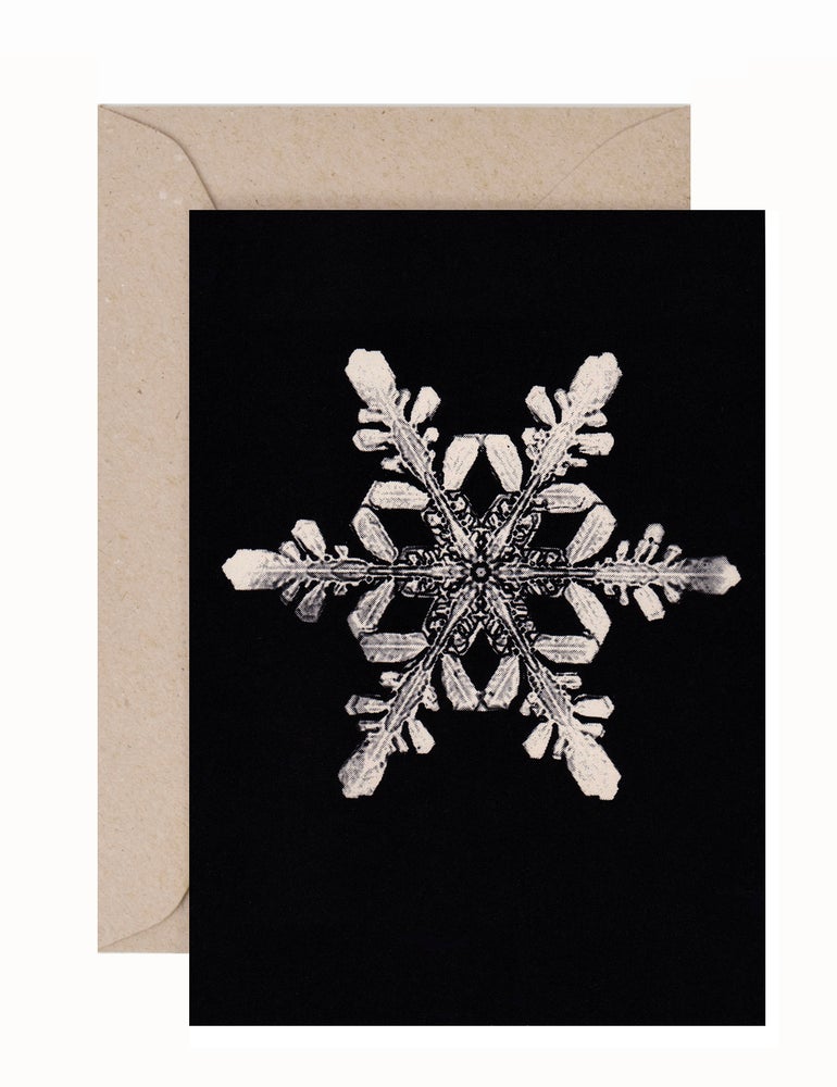 W.A. Bentley: Snow Crystal #1