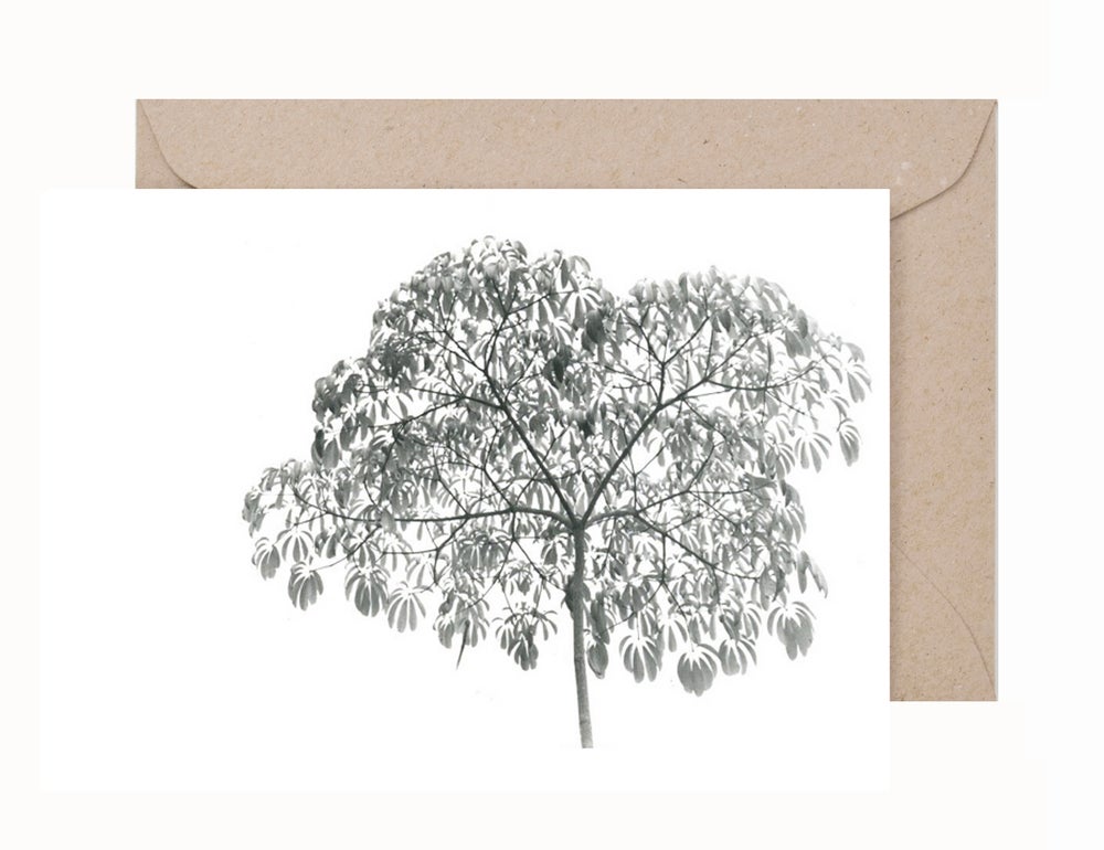 Zoe Ali: Tree #1 Greeting Card & Envelope