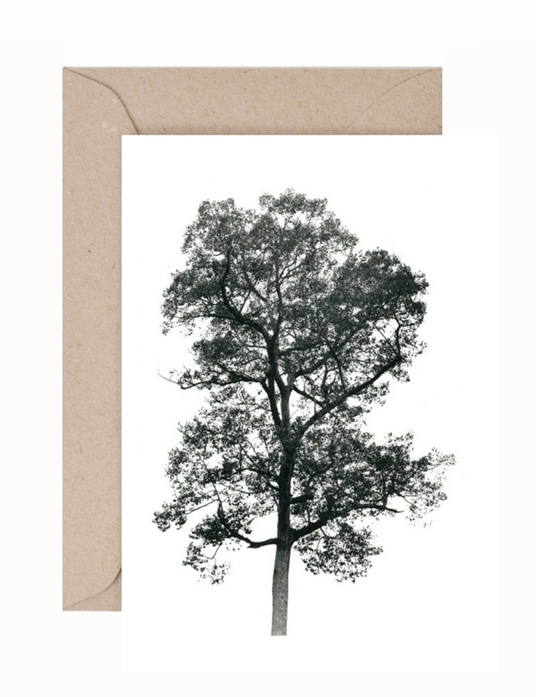 Zoe Ali: Tree #4 Greeting Card & Envelope